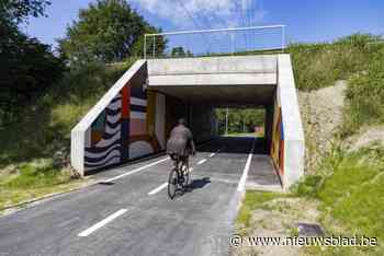 Klachten over nieuwe fietstunnel? Bel naar gemeente Diepenbeek