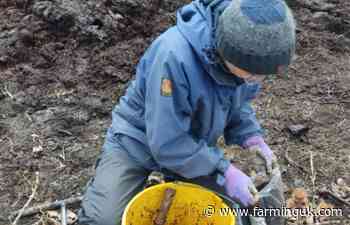 Farm trial explores little-known Japanese method of fermenting manure