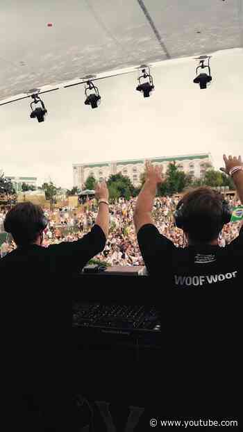 How can you not love Dubdogz, Mojjo - Could You Be Loved, live at Tomorrowland 💥#shorts