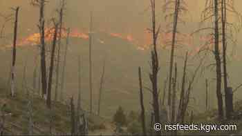 Oregon reports 81 active fires burning 504,692 acres during weekend