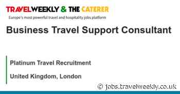Platinum Travel Recruitment: Business Travel Support Consultant