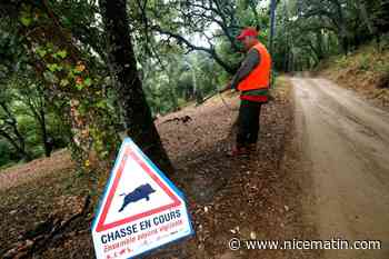 Légère hausse des accidents de chasse cette saison, le nombre de décès reste au plus bas