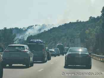 Un incendie se déclenche près de l'autoroute A8 à hauteur de Fréjus, les moyens aériens s'activent