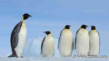 5 Linux commands for group management and how to use them