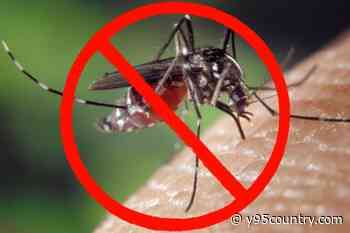 Laramie To Spray For Mosquitoes On Friday