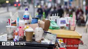 Councils in push for government funds to avoid bin strikes