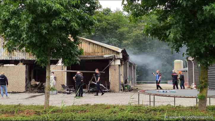 Zeewolde - Waarom paarden niet wegrennen bij brand: 'Stal is een veilige plek'