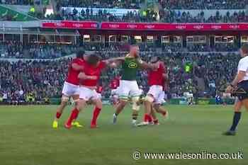 Springboks giant jumped by four opponents as 1.5m watch on-field 'UFC' tussle