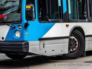 STM bus drivers should get breaks, coroner recommends after pedestrian death