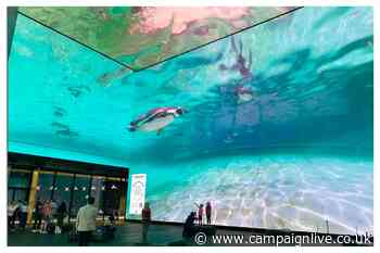 London Zoo showcases penguin enclosure on Outernet London