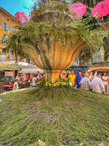 Grasse aux couleurs de la lavande ce samedi, fleur emblématique de la région