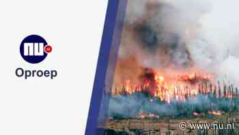 Oproep | Ben jij in Canada en heb je last van bosbranden? Deel je verhaal