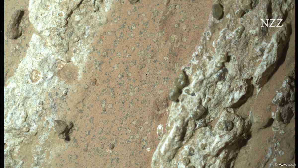 Die Nasa präsentiert ein Marsgestein, das möglicherweise Spuren einstigen Lebens enthält – mit der Betonung auf möglicherweise
