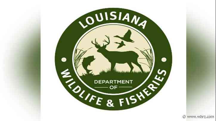 Iberville man pleads guilty to bird hunting violations, suspended from hunting for year