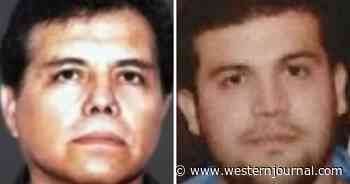 Leaders of Violent Sinaloa Cartel Arrested on US Soil