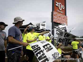 Granby Zoo employees vote for unlimited strike