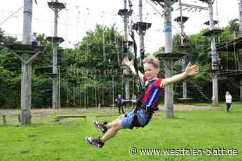 18 Jungen aus Vlotho klettern bei den Ferienspielen im Hochseilgarten