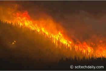 Canada’s 2023 Wildfire Season: An Unprecedented Environmental Catastrophe