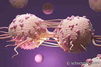 Revolutionary Compound Forces Breast Cancer Cells To Self-Destruct
