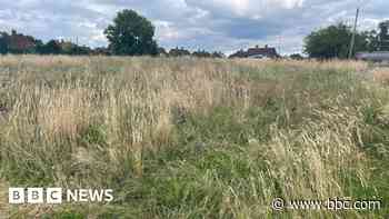 Anger at council's 'scruffy' new mowing regime