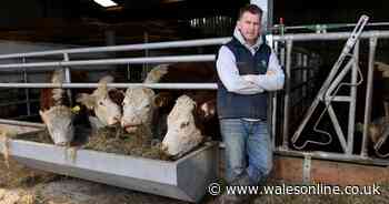 Nigel Owens: The Royal Welsh Show displays the best of our community and the challenges we face