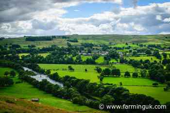 Diversification remains &#39;essential&#39; to long-term farm security