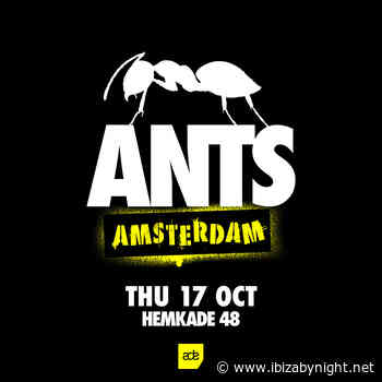 ANTS Amstedam 2024: the line up!