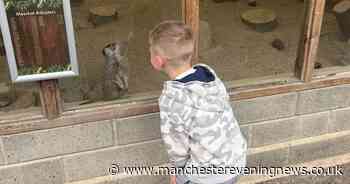 'I took my kids to a hidden gem zoo an hour from Mancheser that all families need to visit'