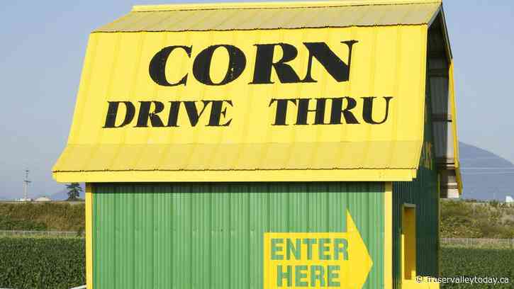 Corn barn allegedly robbed in Chilliwack area Friday