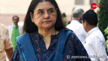 Maneka Gandhi Moves High Court Against Sultanpur MP`s Election