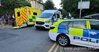 Manor Park 'stabbing': Police swarm east London street as air ambulance lands