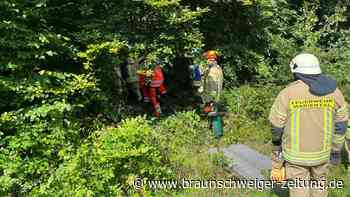 Unfall im Kreis Helmstedt: Auto verschwindet im Wald an der B244