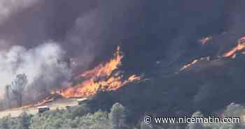 Plus de 144.500 hectares dévorés: les pompiers combattent le mégafeu en Californie dans des conditions difficiles