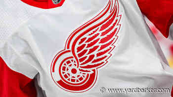 Gotta see it: K-pop Star Rocks Red Wings Jersey