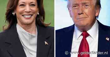 Trump haalt uit naar Kamala Harris: ‘Plots veranderde ze en was ze zwart’