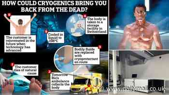 Would you pay £170,000 to come back from the dead? Europe's first cryopreservation start-up will freeze you in liquid nitrogen in the hopes that you could one day be revived - and 650 customers have already signed up