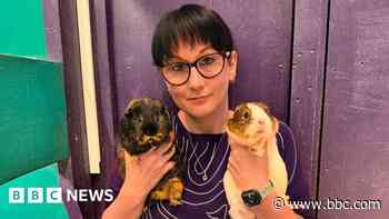 Guinea pig home in cash crunch after Facebook funding row