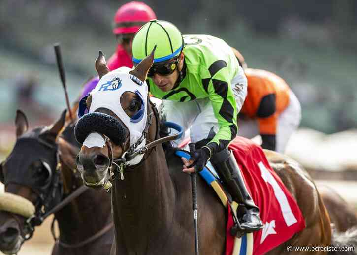 Horse racing notes: Del Mar feature race spotlights Shady Tiger