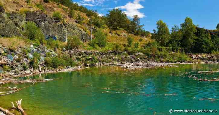 Cadavere affiora dal fiume Taro, indagini in corso a Parma: c’erano lesioni sul torace