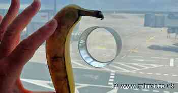 Mystery of why there are holes in airport windows solved – with help from banana