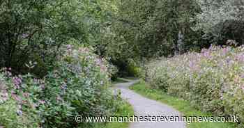 The Greater Manchester country park that is becoming a hotspot for knifepoint robberies