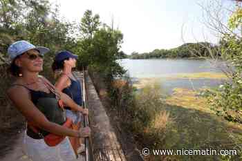 Un an après son aménagement, ce plan d'eau du Var attire les locaux et touristes