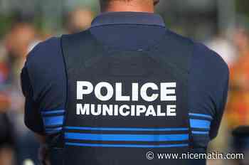 Une saisie record de drogue pour la police municipale à Nice