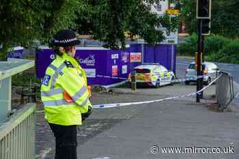 Ipswich stabbing: Man charged with murder after young woman knifed to death near railway station