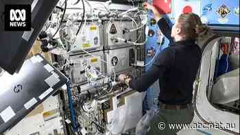 NASA astronaut Kayla Barron installs the first square for archaeological research