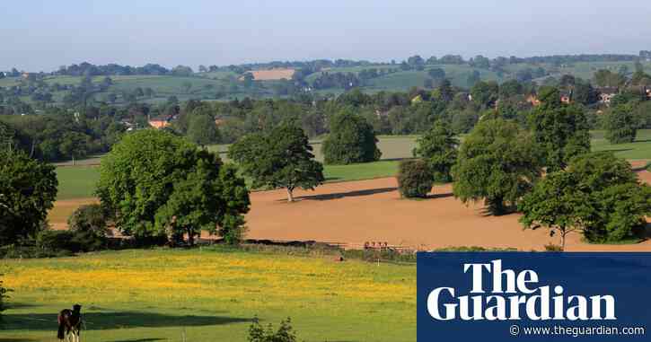 Pretty pylons can add character to England’s industrial landscape | Letters