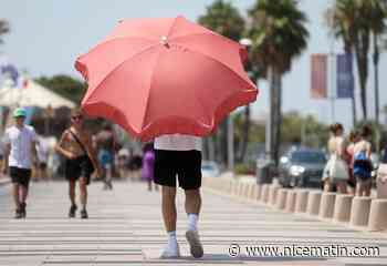 La vigilance orange pour canicule reconduite ce dimanche dans les Alpes-Maritimes: voici ce qui nous attend