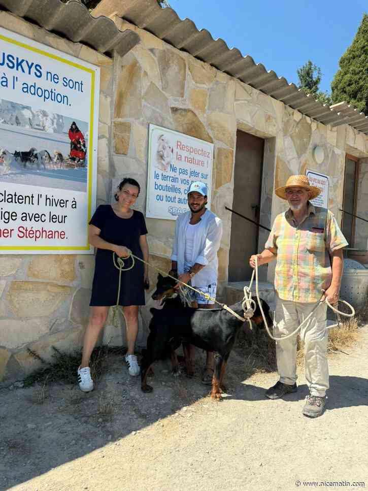 L’influenceur Laurent Correia, accusé d’avoir abandonné ses chiens, les a récupérés ce dimanche au refuge de Vence