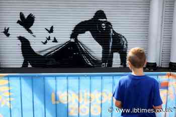 Banksy Lifts Curtain On London Animal Mural Series