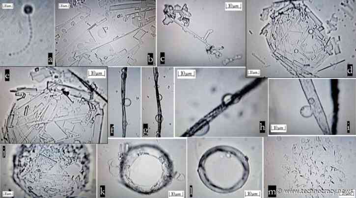 Scientists: Real-Time Self-Assembly Structures Revealed In 2-Year Study Of Pfizer And Moderna Covid-19 Shots